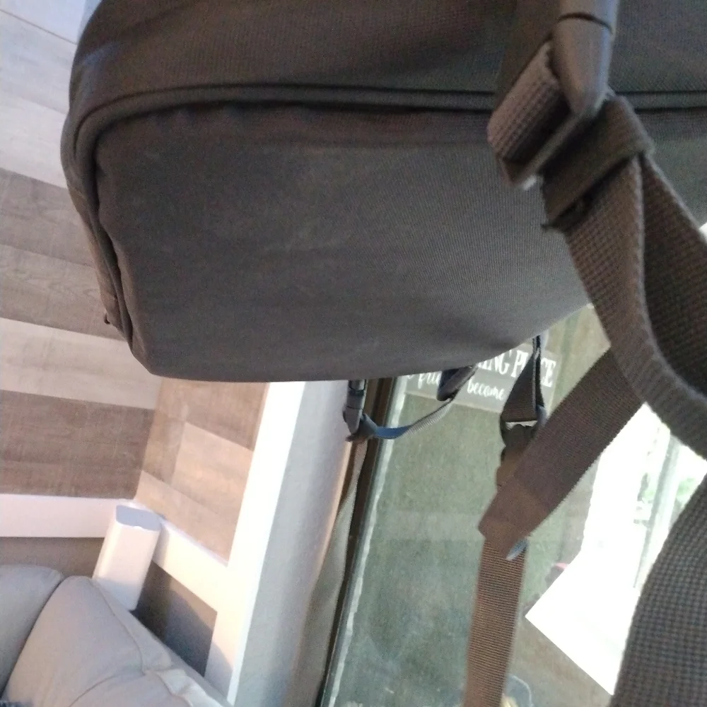 Dog carrier for medium dog